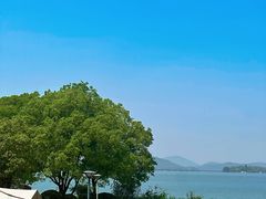 -长广溪湿地公园