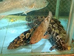 -顺意·顺德家乡菜(国际人才大厦店)