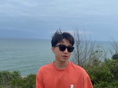 -广东惠东海龟国家级自然保护区