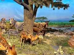 -国家自然博物馆