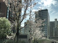 -兴业太古汇·停车场