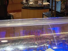 -国宾酒店-花园咖啡自助餐厅(北营房中街店)