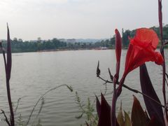 -枫香湖儿童公园