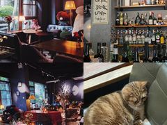 -咖法森林·咖啡  酒吧(天河店)