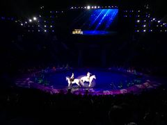 -珠海横琴长隆《卡卡虎奇遇记》