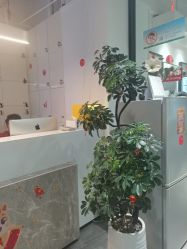 -LJOY丽锦造型·烫发染发