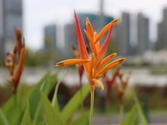 -澳门圣地牙哥古堡酒店