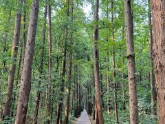 -同里国家湿地公园