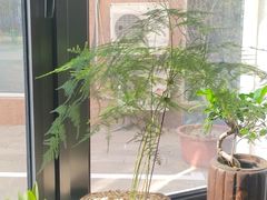 -王府茶楼茶宴·创意菜(朝阳公园店)