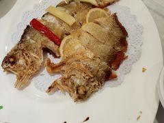 -骏莱海鲜鱼港(五角场店)