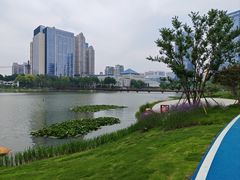 -后襄河公园