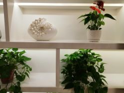 -西安现代妇产医院医疗美容