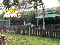 -静之湖度假区