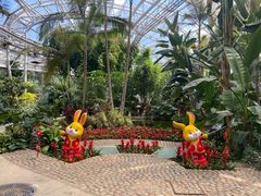 -北京植物园-展览温室