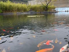 -中国宣纸文化园