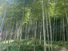 -将军关探险漂流