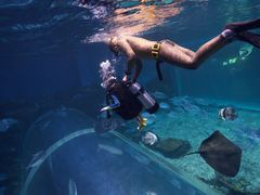 -华夏文旅海洋公园