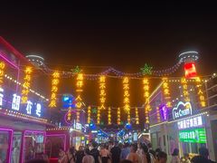 -映月湖中央公园