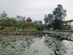 -四川大学(望江校区)