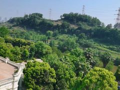 -重庆长寿碧桂园凤悦凤凰酒店