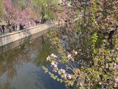 -海棠花溪(元大都城垣遗址公园)