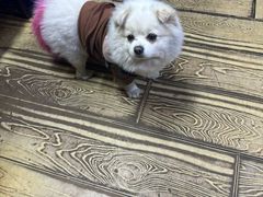 -红升老菜馆(巨兴街店)