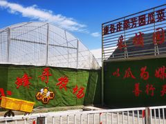 -庞各庄翠芳园西瓜蔬菜基地采摘园