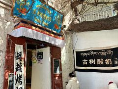 -古树酸奶(八廓南街店)