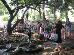 -成都市活水公园