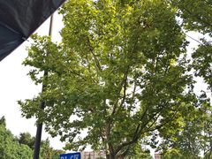 -野生动物园-停车场