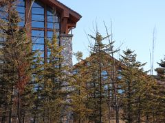 -长白山万达喜来登度假酒店