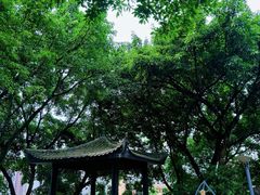 -重庆平顶山公园