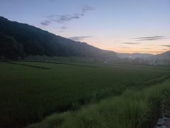 -南泥湾风景区
