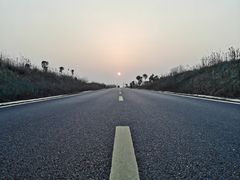 -合肥滨湖国家森林公园