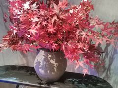 -世外桃源水疗会(皇庭彩园店)