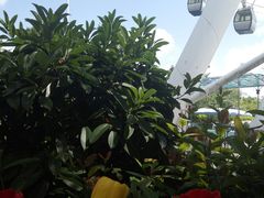 -凤岭儿童公园
