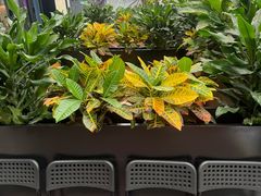 -KŌNG胶东小馆(华熙店)