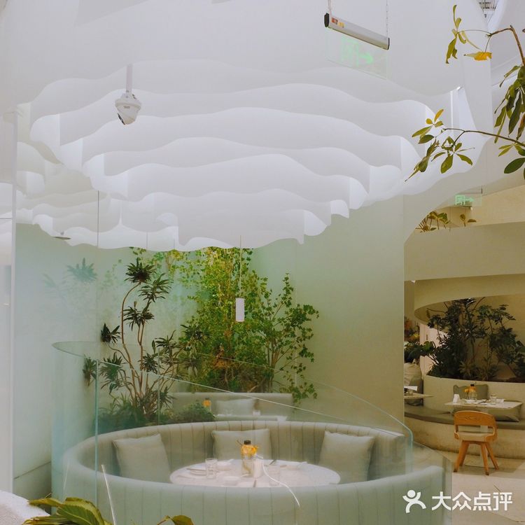 北京首店｜去大树餐厅摘一片云