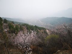 -北京鹫峰国家森林公园