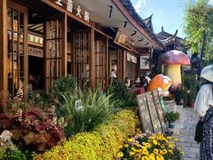 -菌自由丨野生菌火锅特色庭院餐厅(丽江古城店)