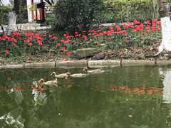 -定园