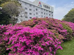 -长阳创谷