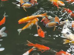 -南宫五洲植物乐园