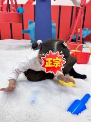 -木马王国(萧山银隆店)