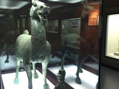 -广西壮族自治区博物馆