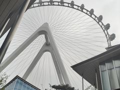 -金鸡湖景区