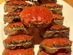 -威斯汀舞台餐厅