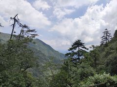 -东天目山风景区