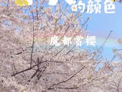 -龙美术馆(西岸馆)
