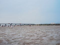-南汇新城海滩